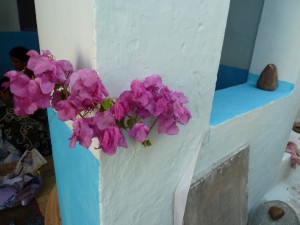 Les couleurs vives sont privilégiées à l'atelier